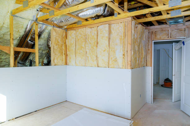 Best Blown-in Insulation  in Plainwell, MI