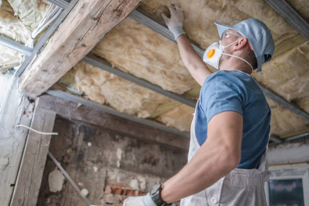 Best Insulation Removal  in Plainwell, MI