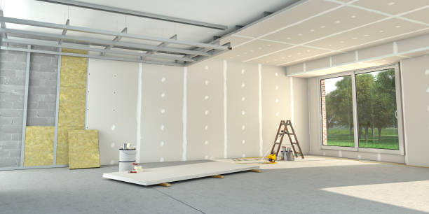 Best Best Insulation Companies  in Plainwell, MI