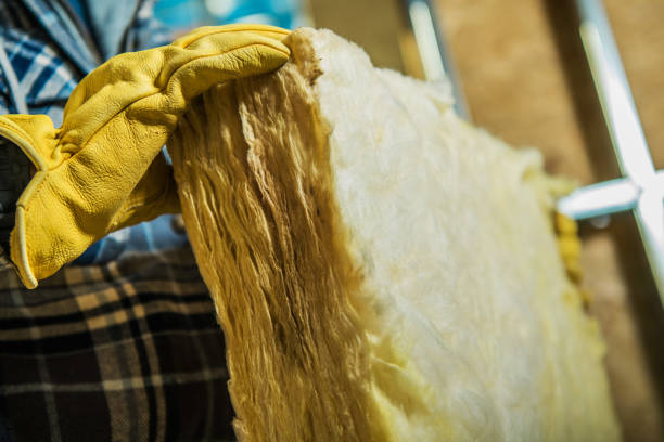 Best Insulation Repair Services  in Plainwell, MI