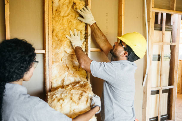 Best Cellulose Insulation  in Plainwell, MI