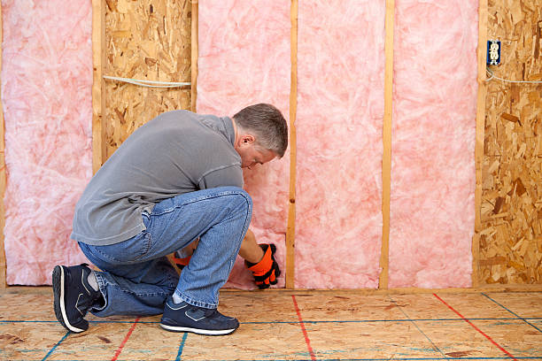 Best Home Insulation Services  in Plainwell, MI