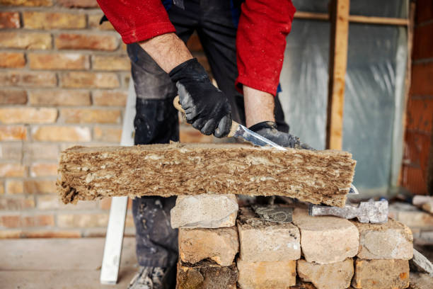 Best Garage Insulation Installation  in Plainwell, MI